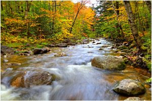 Free Guided Walks Every Week