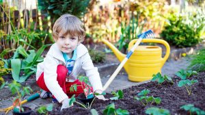 Gardening for Kids