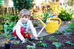 Gardening for Kids