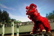 Lion Dance & Kung Fu Demonstration Chinese New Year