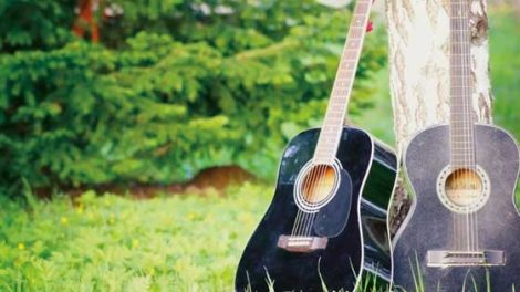 Pullen Vale Folk Festival