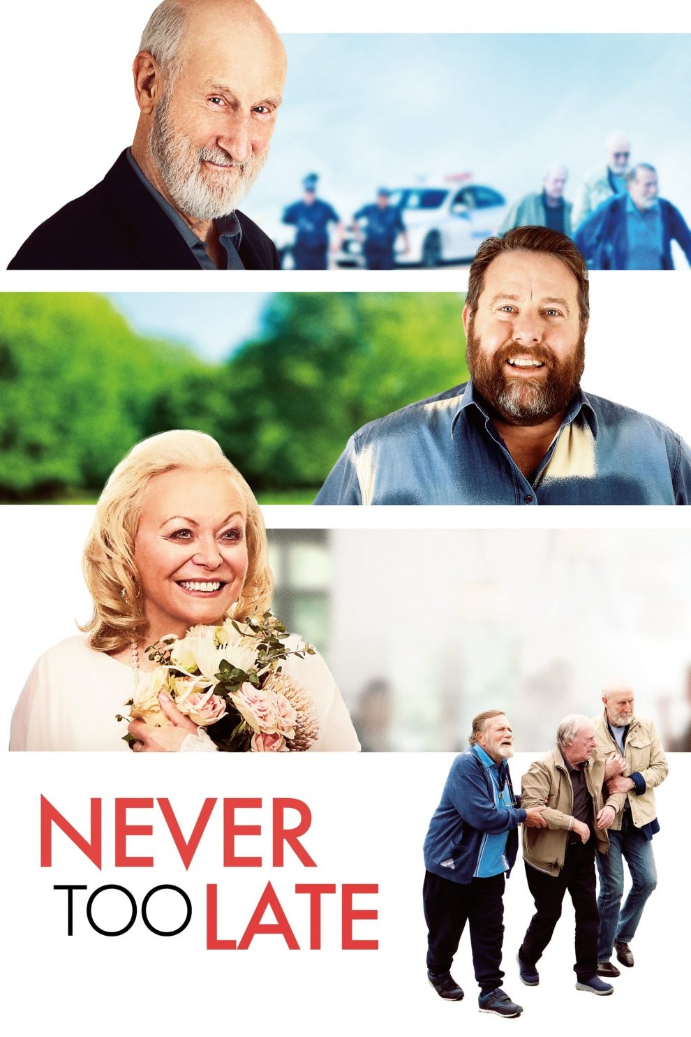Poster for the movie "Never Too Late"