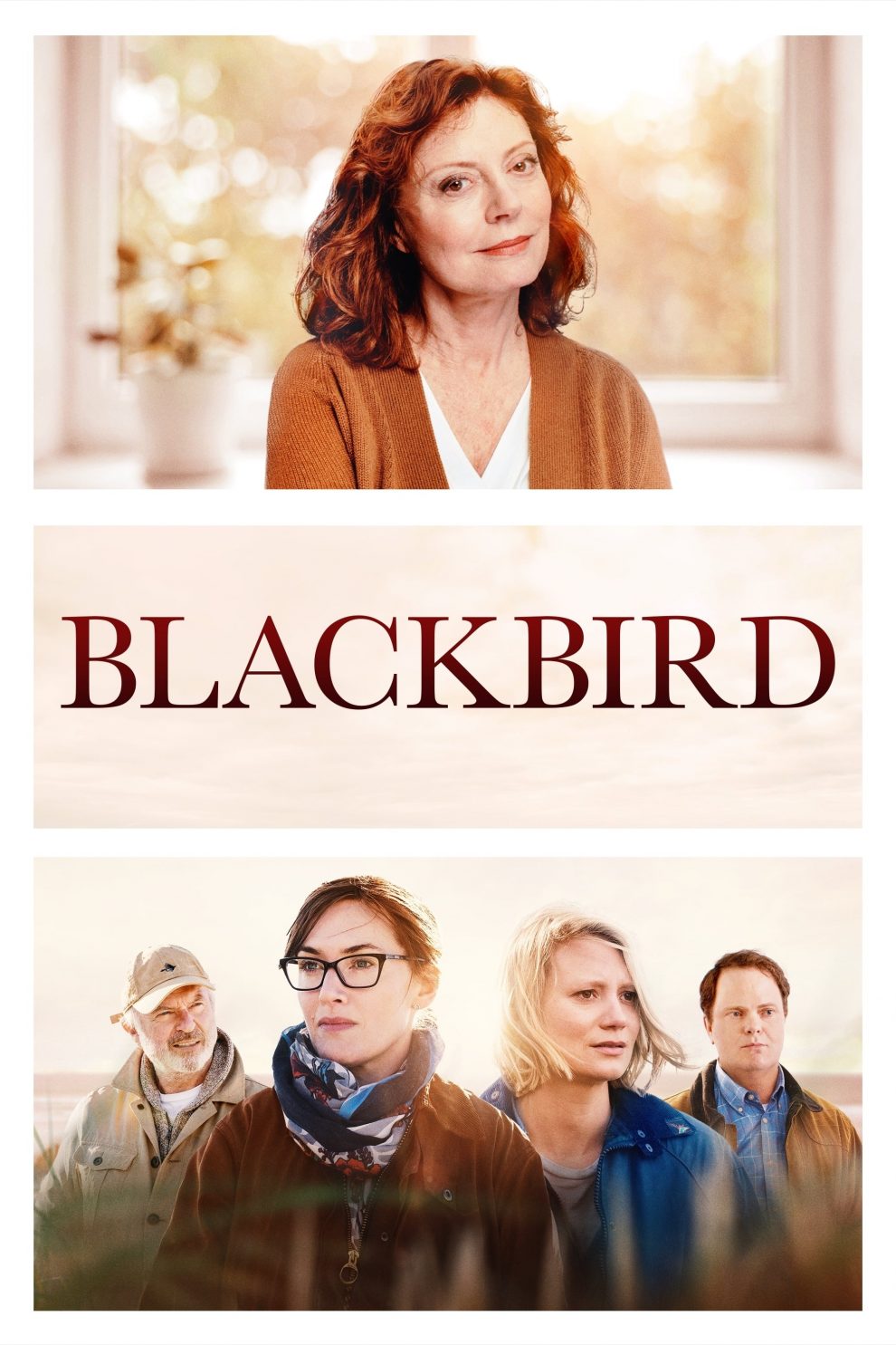 Poster for the movie "Blackbird"