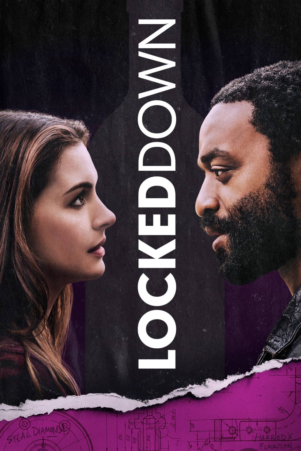 Poster for the movie "Locked Down"