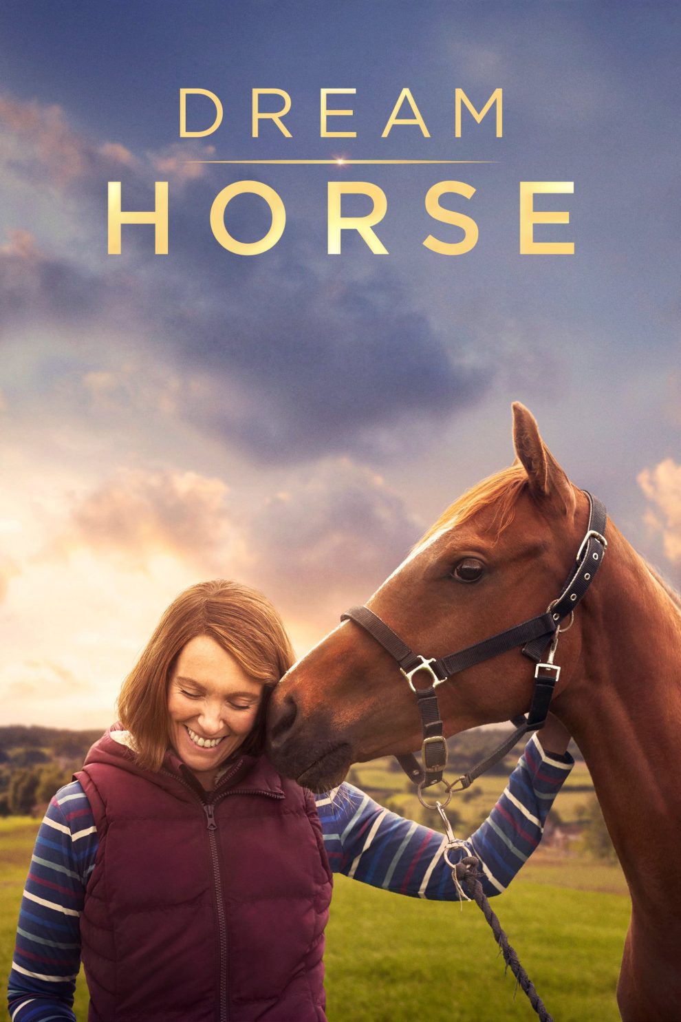 Poster for the movie "Dream Horse"